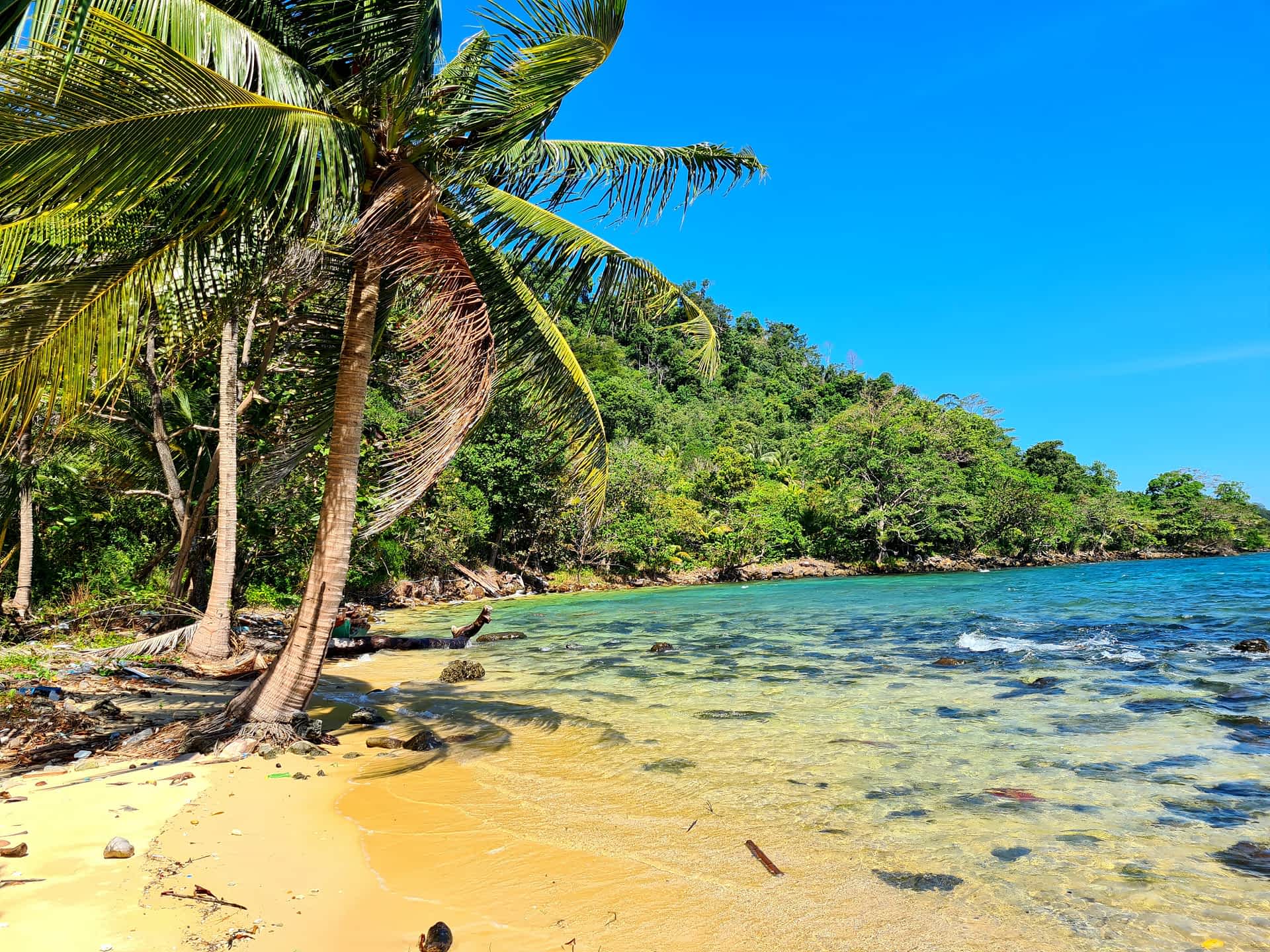 unnamed (2)-optimized