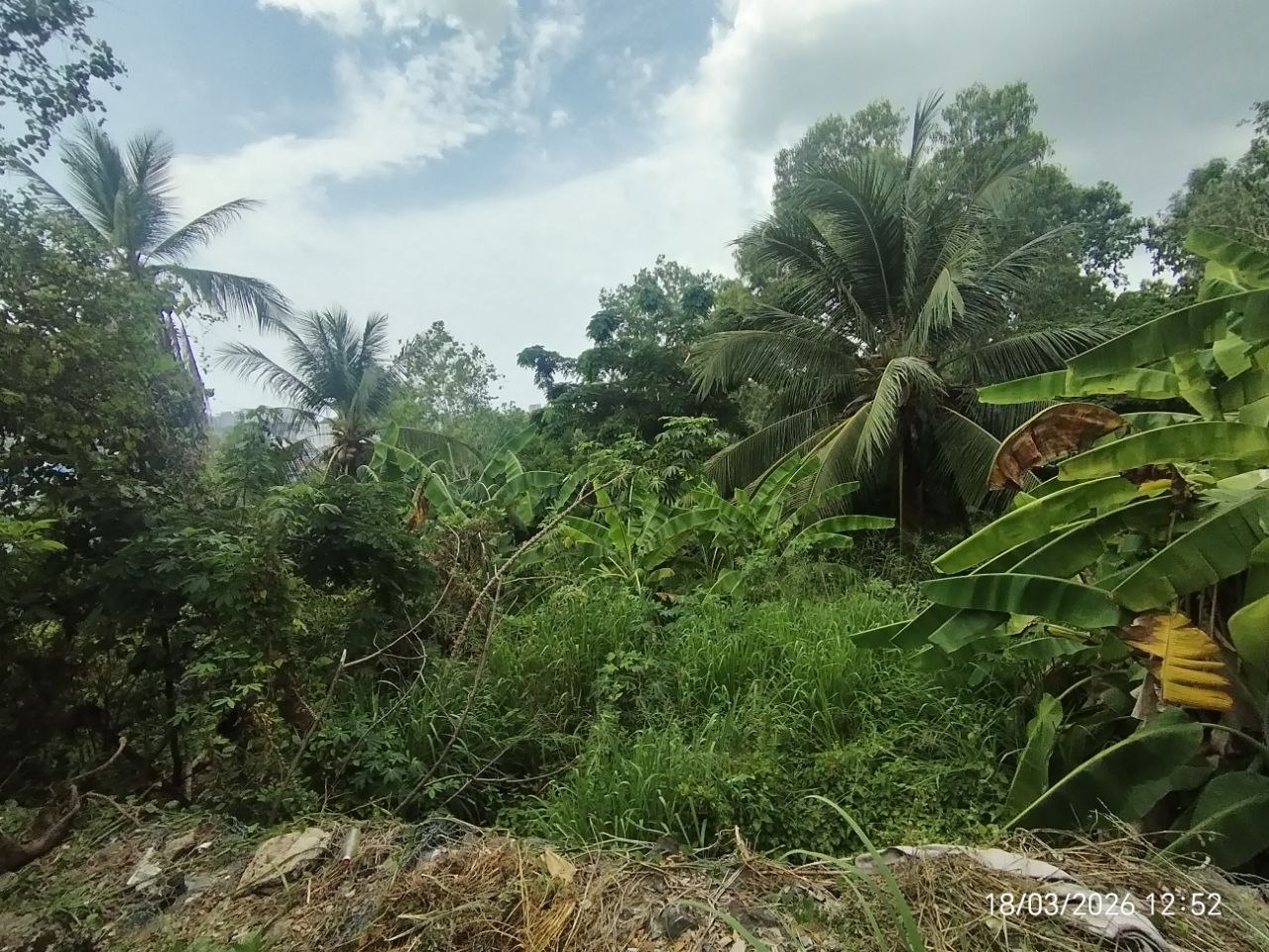 photo_2026-03-19_15-53-11